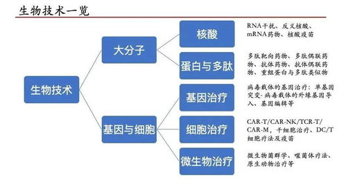 嘉和硬科技捕手記 科技企業孵化器如何發現與評估生物醫藥產業黑馬